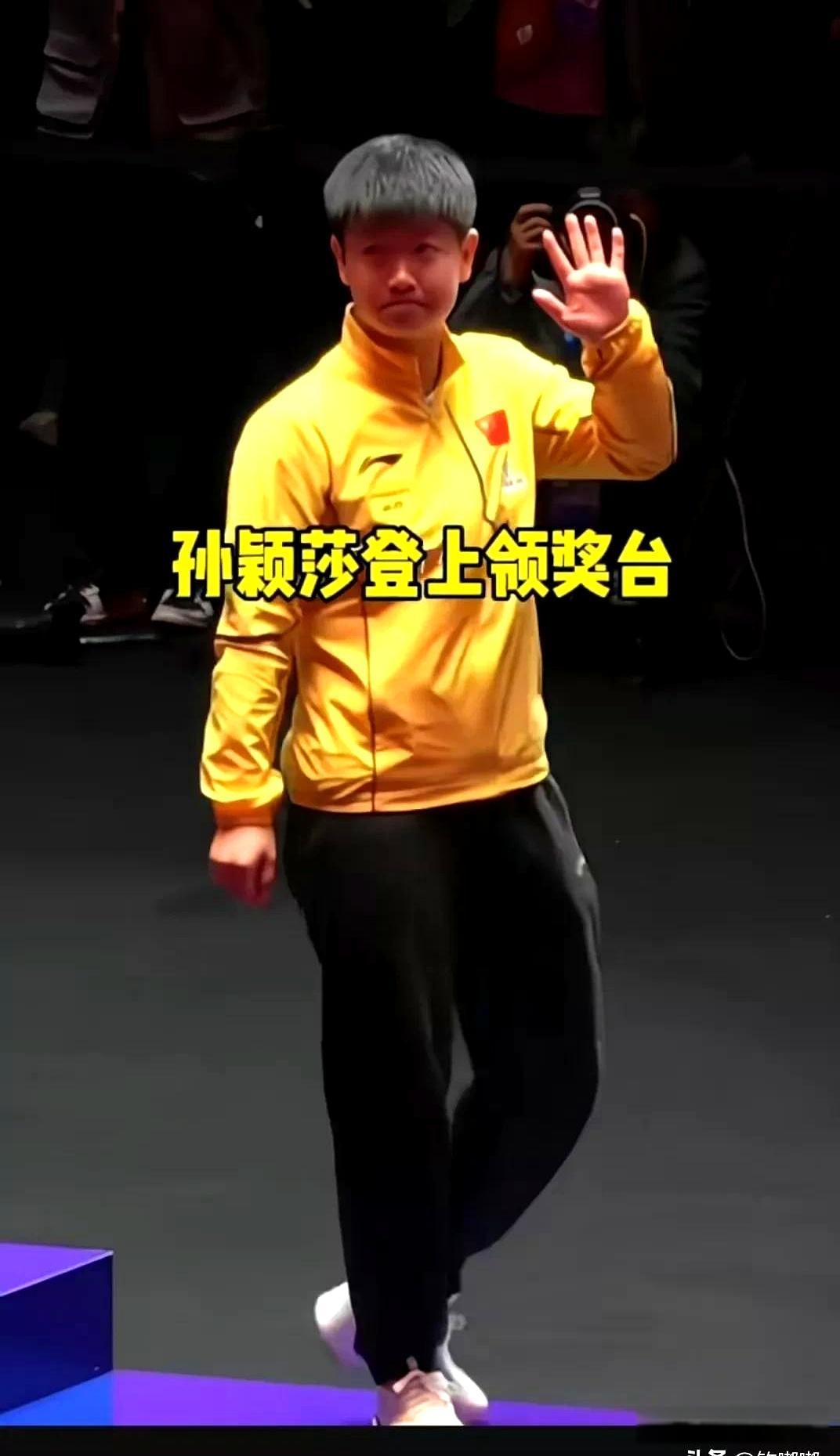 包含选手在核心赛事中展露实力，从未动摇冠军的词条