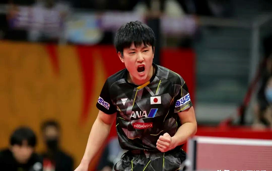 开云官网-关于奥地利乒乓球队翻盘比利时乒乓球队,张本智和惊艳世界的信息