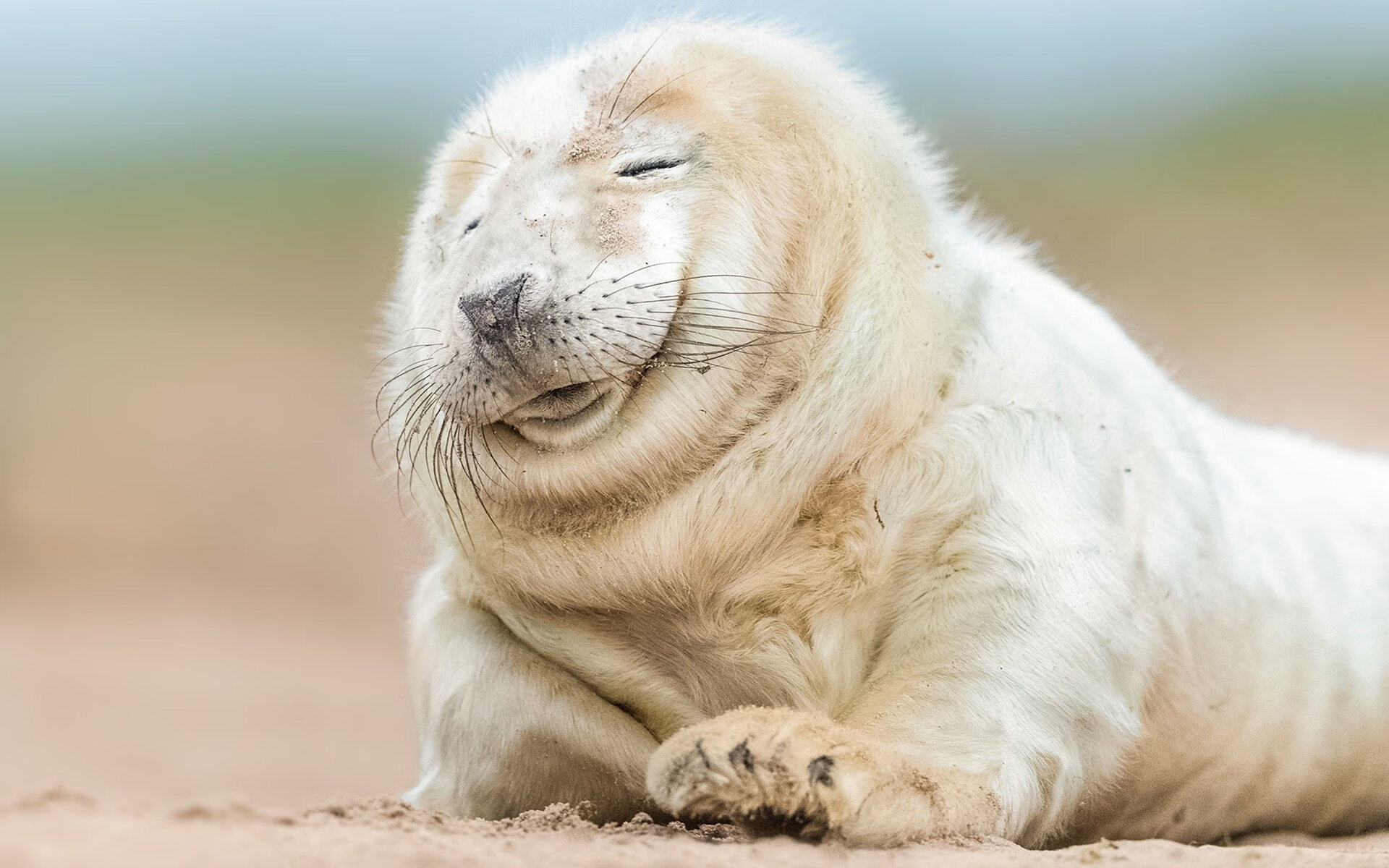 决定时刻，决胜于心，竞技场上的英雄本色