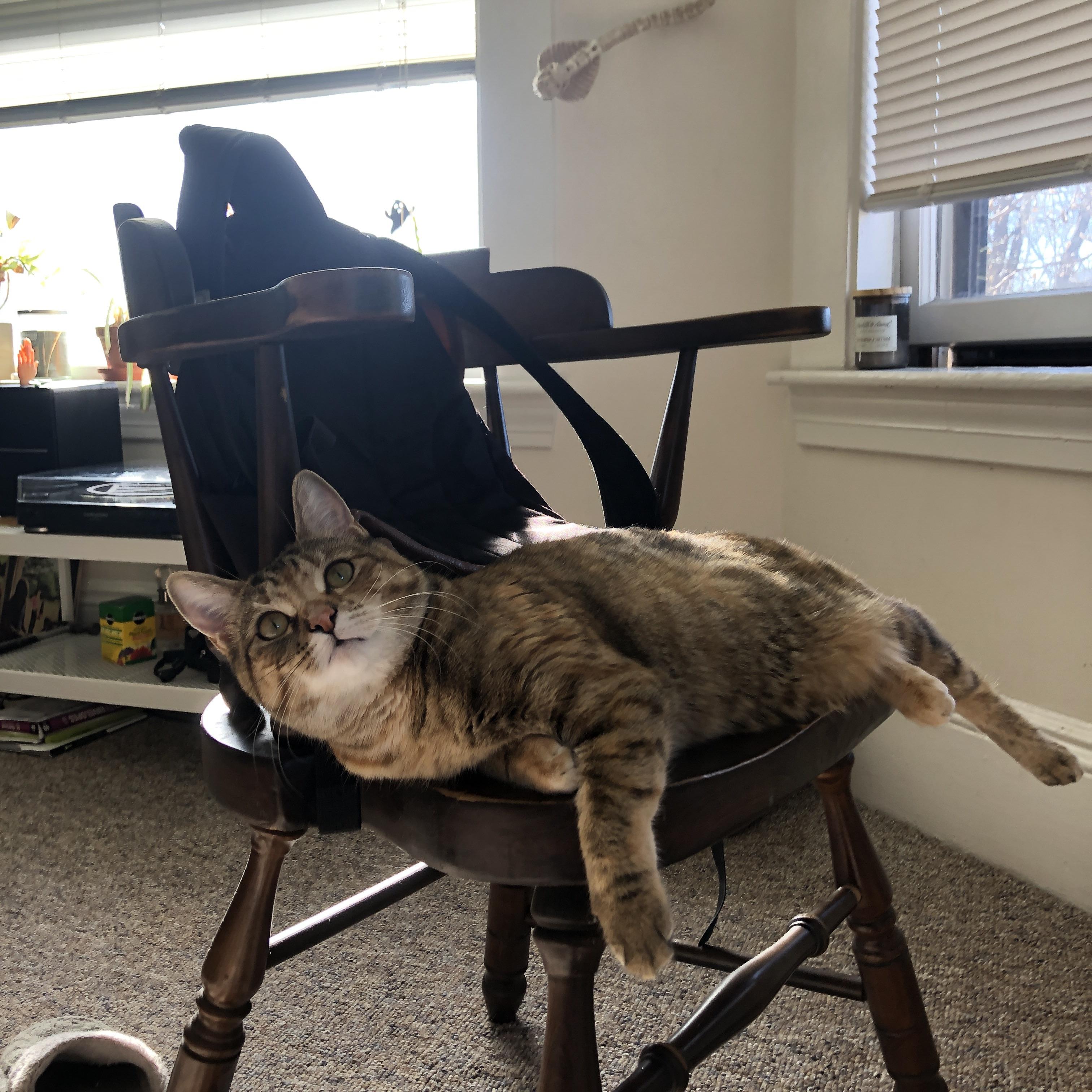 开云体育-德布劳内一锤定音，希腊淘汰爱尔兰晋级淘汰赛下一轮