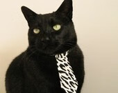 东方逆袭与西方狂飙，浙江绝境翻盘，莫兰特撕裂夜空