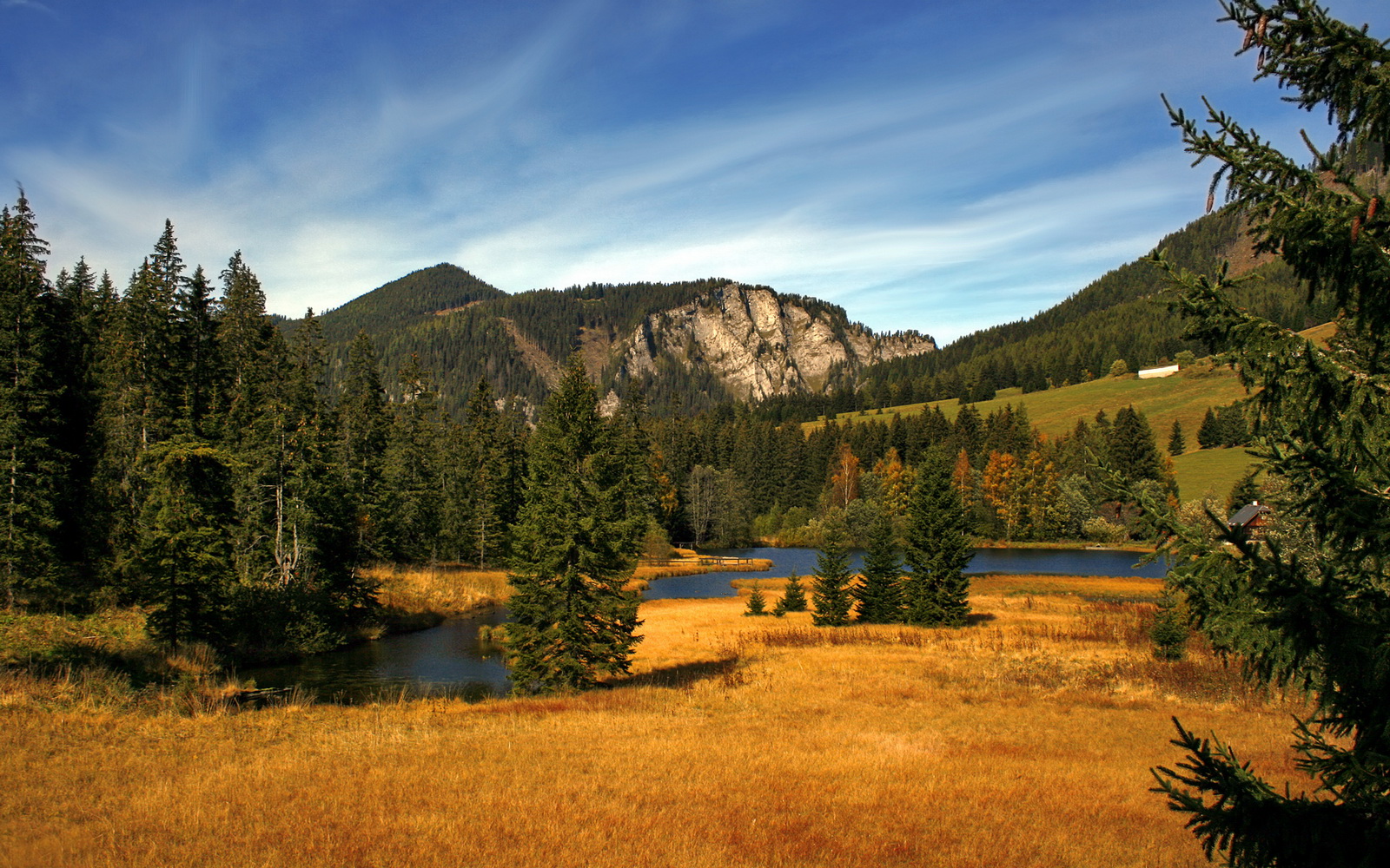 巨人游戏，湖人碾压北京队，约基奇攻防两端统治诠释篮球维度差