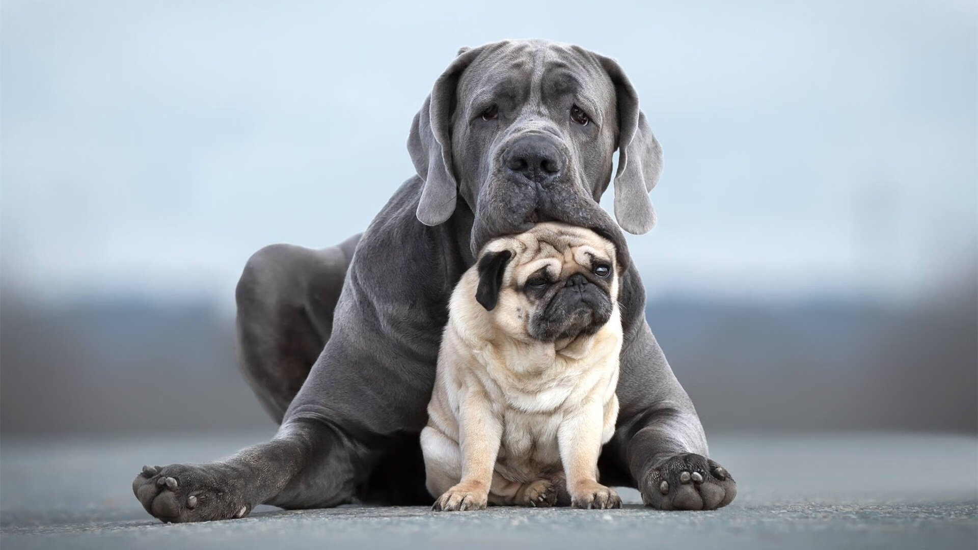 左翼惊雷炸响，右路铁骑踏破—阿拉巴爆发引领乌拉圭打穿哥伦比亚神话