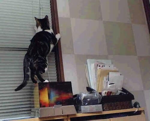 开云体育app-F1引擎轰鸣中的隔空对决,当极速遇上统治力,今夜无人入眠