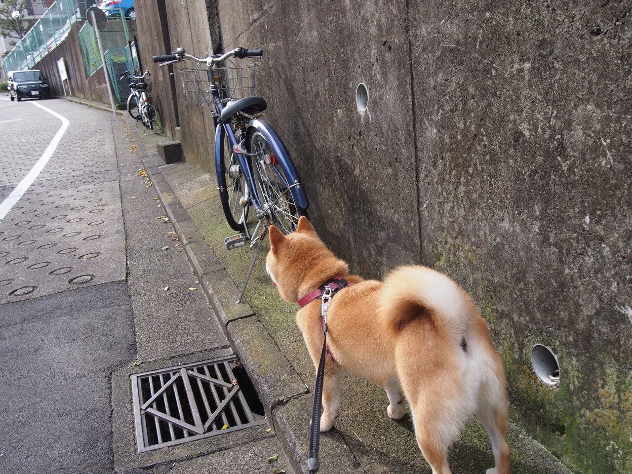 土耳其冰雹浇灭红魔火焰！阿森纳旧将马丁内利成终极刺客