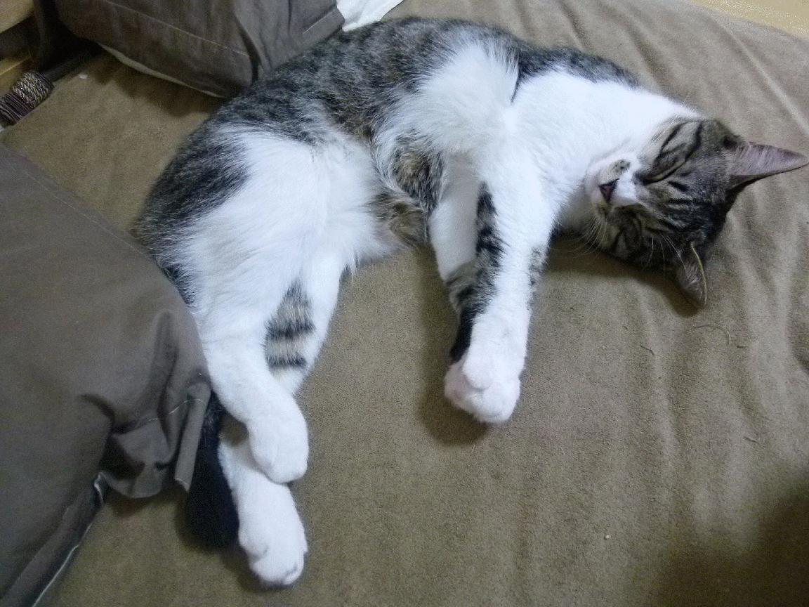 开云体育官网-关键时刻的巨星光芒与团队荣耀,莫兰特连斩分新疆队力克雷霆迎巅峰