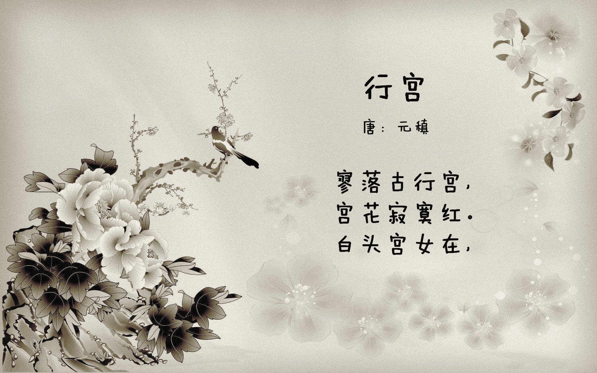 开云体育入口-跨界巨兽,当锡安与周琦在赛道和赛场双重奏凯