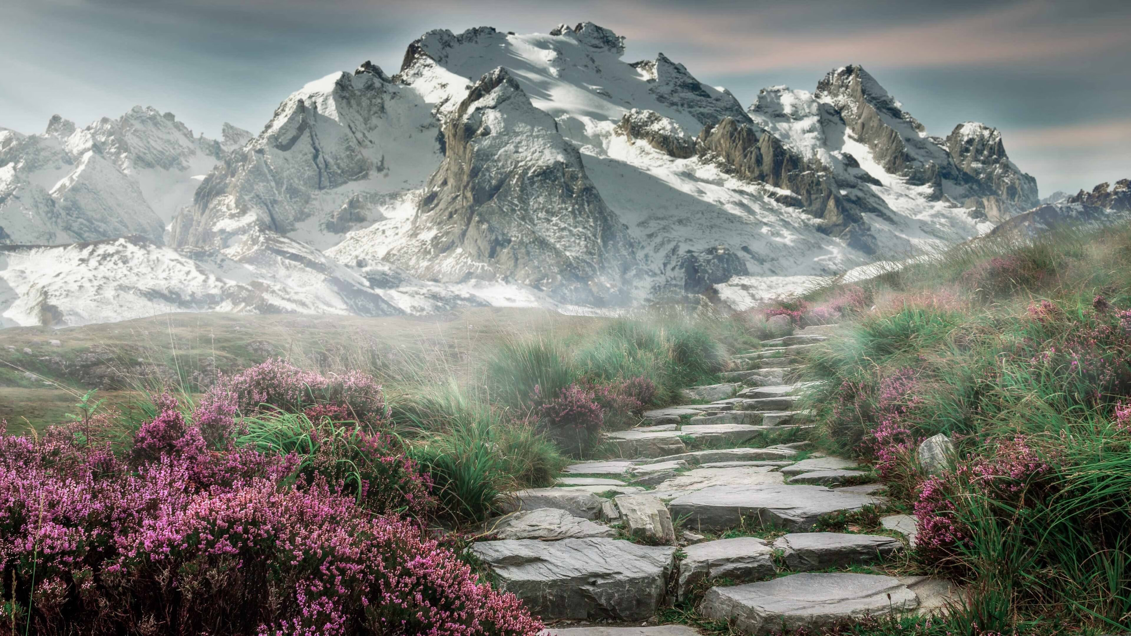 跨界巨兽,当锡安与周琦在赛道和赛场双重奏凯