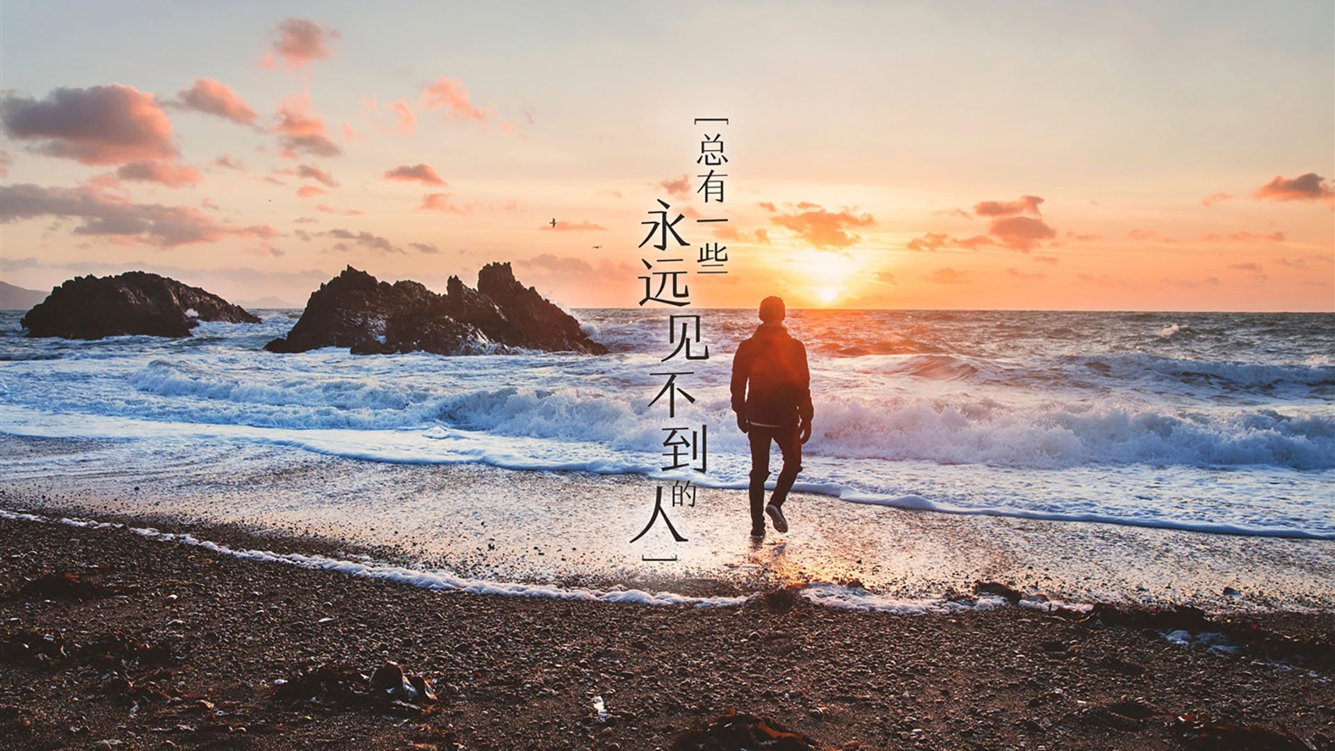 开云平台-猛龙逆袭公牛，塔图姆式教科书如何改写绝境剧本？