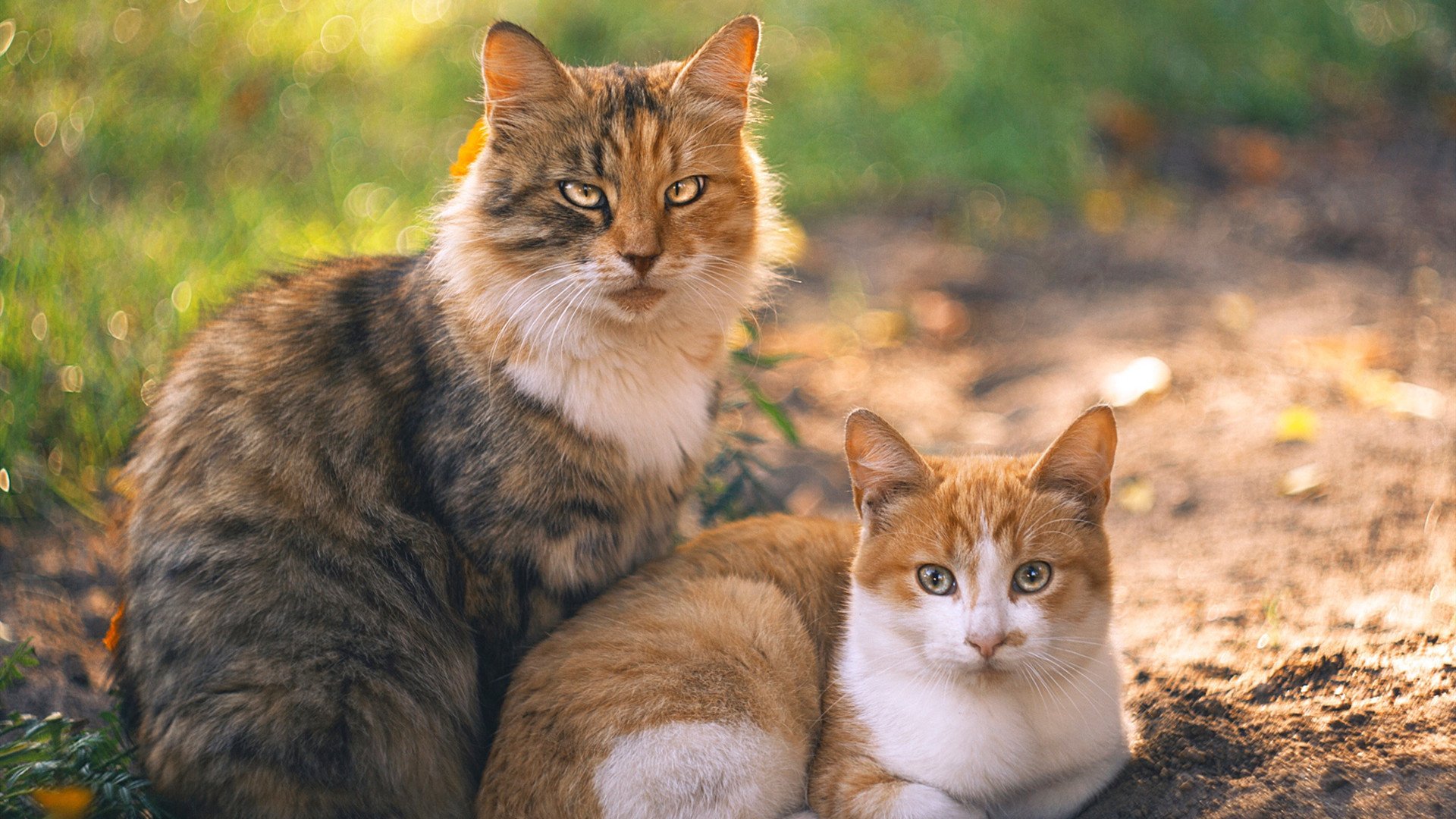 一剑封喉！伊萨克关键时刻拯救英格兰，绝杀比利亚雷亚尔