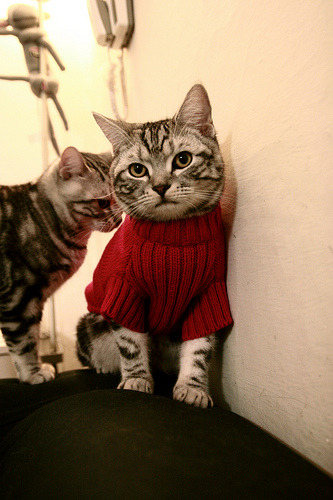 沉寂雄狮的觉醒,阿坎吉一锤定音,那不勒斯末节风暴逆转三狮