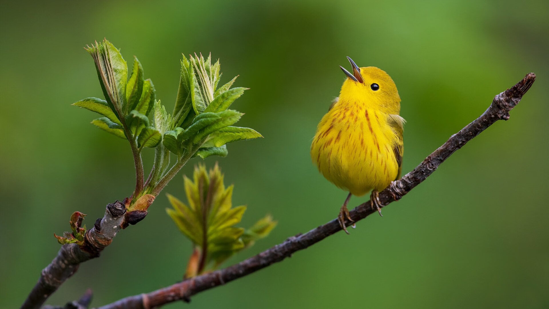 地狱之门到天堂之光,巴斯托尼在欧冠之夜完成自我救赎